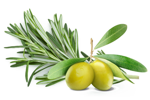 OLIVE OIL WITH ROSEMARY | زيت الزيتون مع إكليل الجبل